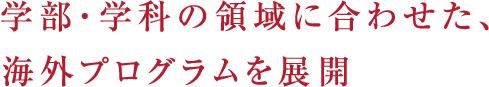 学部・学科の領域に合わせた、海外プログラムを展開