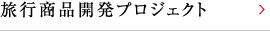 旅行商品開発プロジェクト