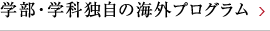 学部・学科独自の海外プログラム