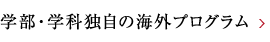 学部・学科独自の海外プログラム