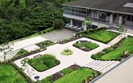 Medical Herb Garden