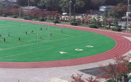 Athletic Fields (Main Ground)