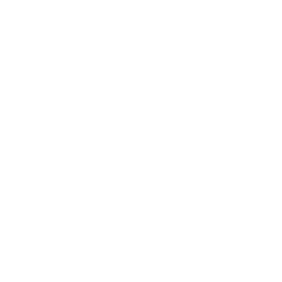 2023 11/19 SUN