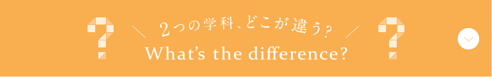 2つの学科、どこが違う？ What's the difference?