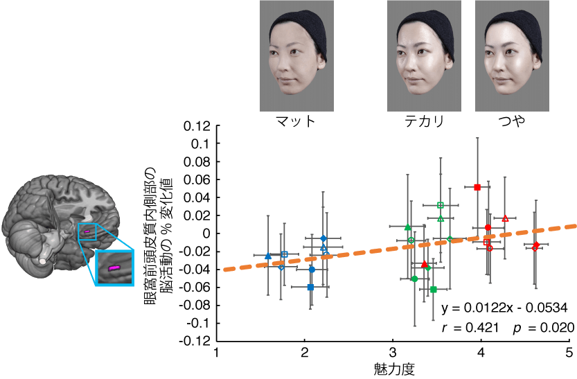 坂野雄一の現在進行中の研究